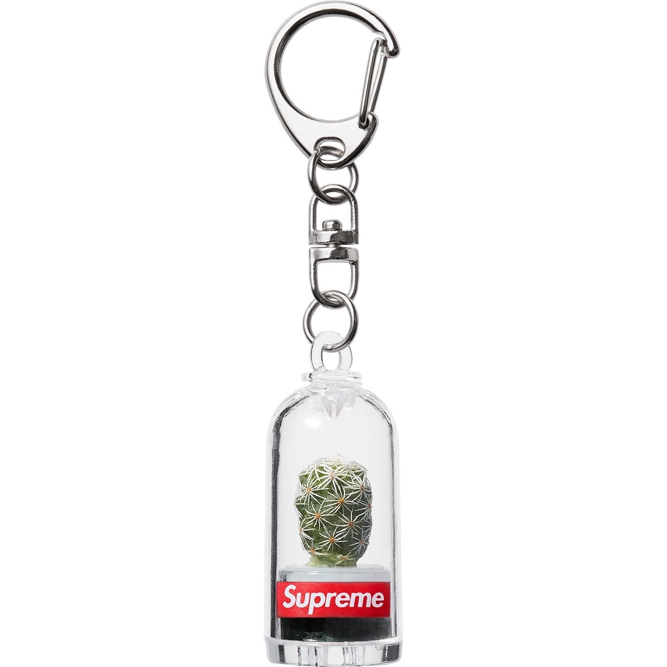 Cactus Keychain view 2